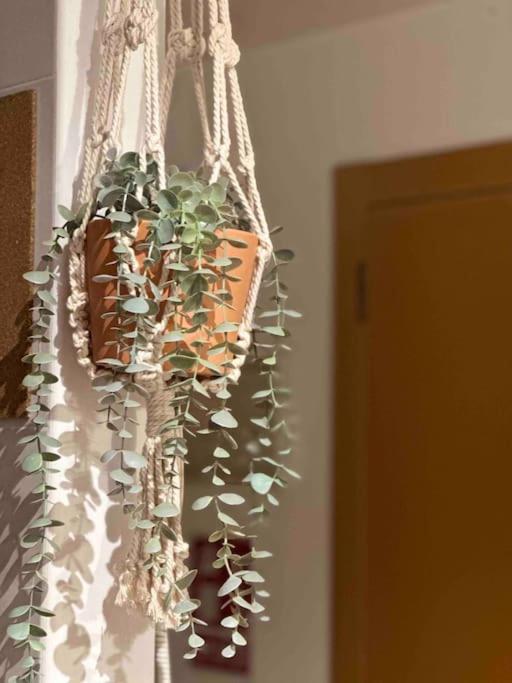 Apartamento El Picu Collanzo Kültér fotó