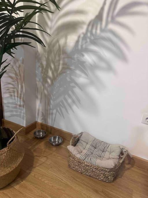 Apartamento El Picu Collanzo Kültér fotó